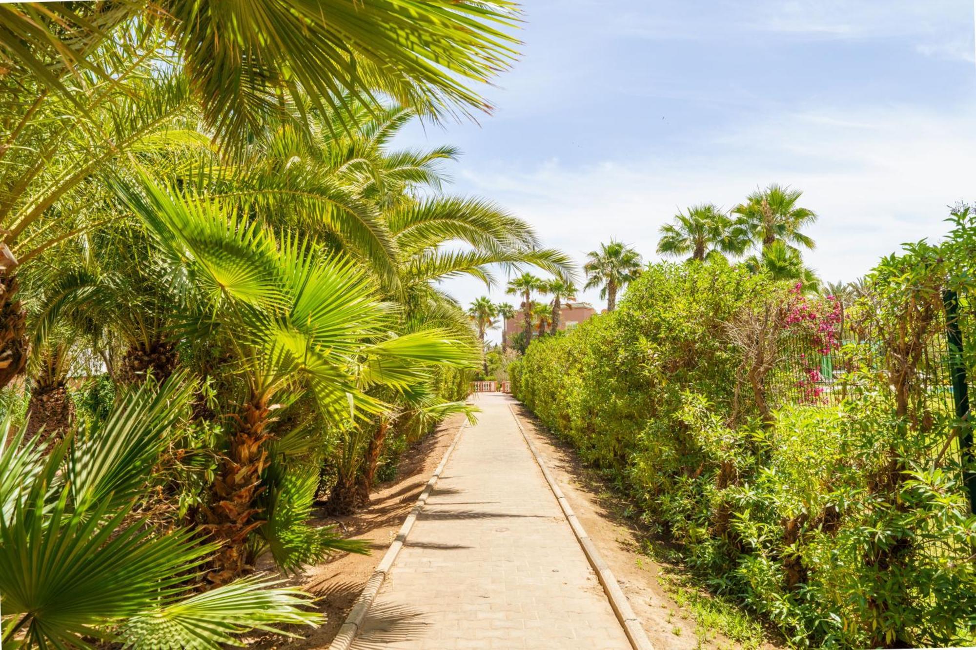 فندق Palmeraie Marrakech &